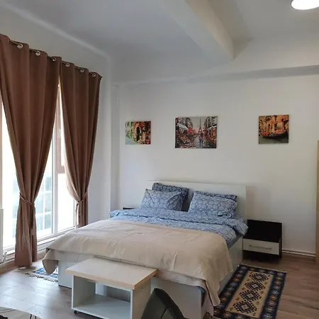 Arti Apartment Brasov