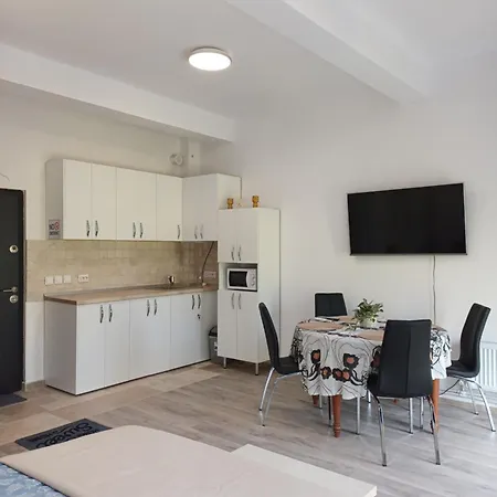 Arti Apartment Brasov