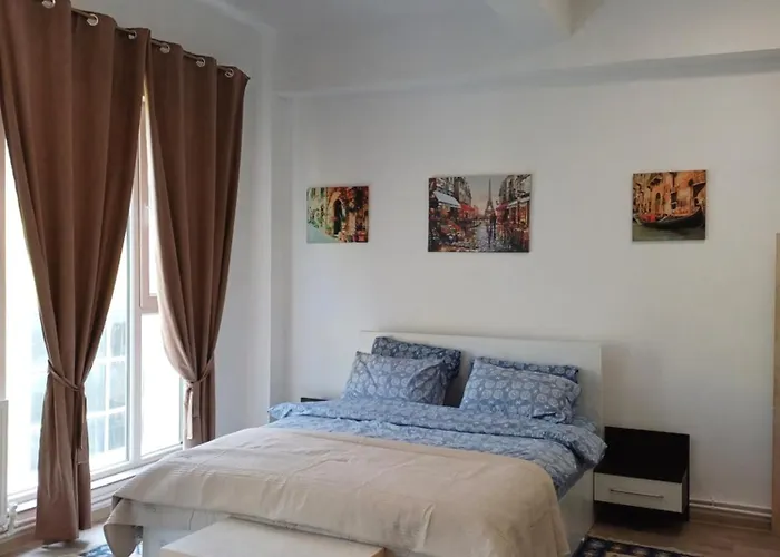 Arti Apartment Brasov