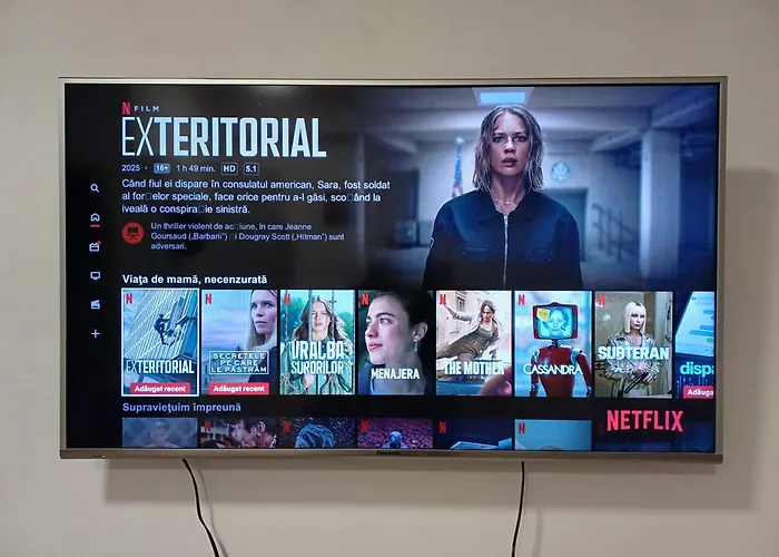 Arti Apartment Brasov