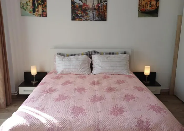 Apartment Arti Brasov